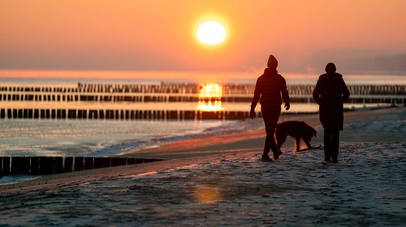 Die Regie hat die "Weite der Inselwelt" eingefangen: Die beurlaubte Kommissarin Ellen Norgaard (Rikke Lylloff) spaziert mit der Ex-Staatsanwältin und Privatdetektivin Karin Lossow (Katrin Sass) und deren Hund Lucky am Strand. 