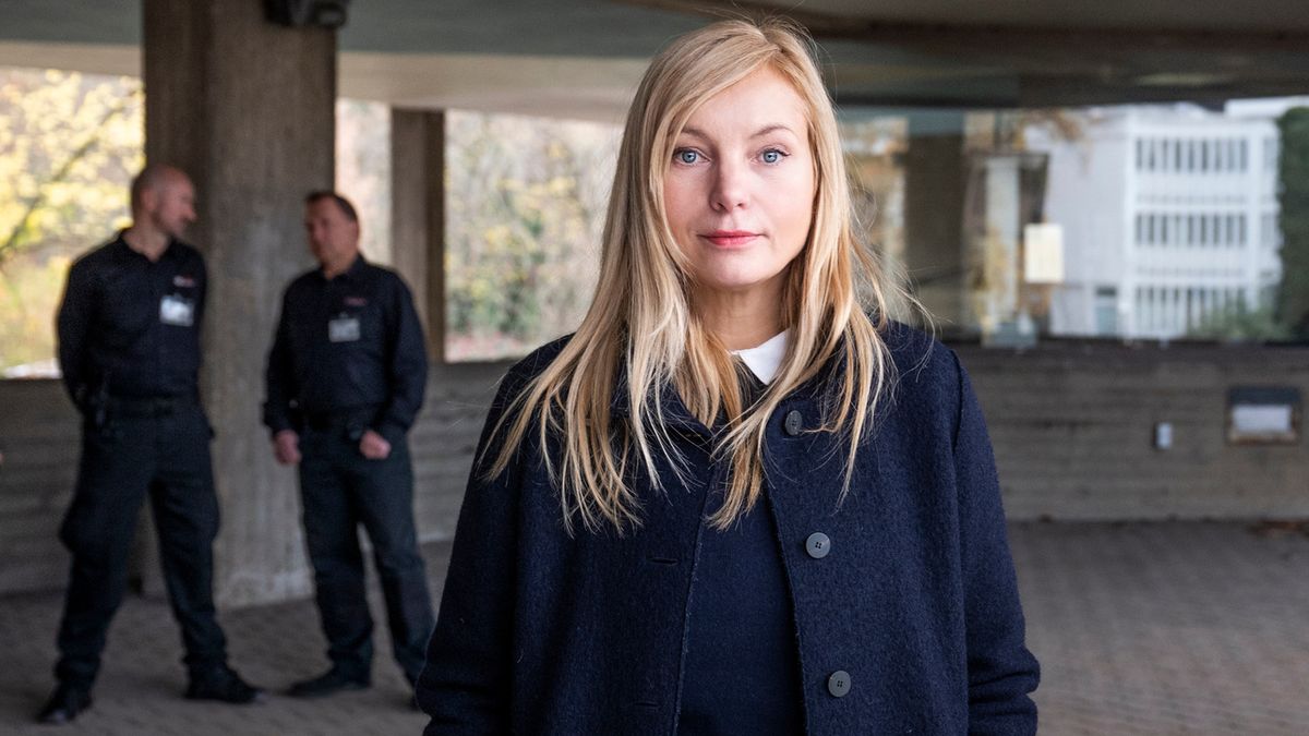 Agar mushukingiz oqayotgan bolsa, nima qilish kerak