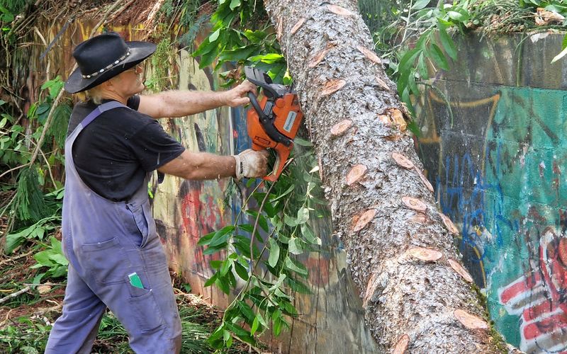 Um den Baum zurechtzuschneiden, greift Konny Reimann auf schweres Gerät zurück.