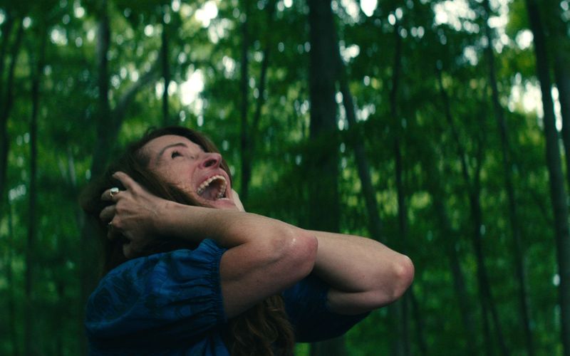Amanda (Julia Roberts) hat im Wald, das ihr Ferienhaus umgibt, ein schreckliches Erlebnis.