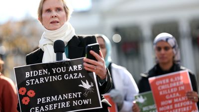 Bild zu Artikel Cynthia Nixon