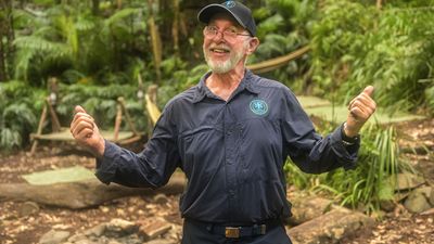 Bild zu Artikel Ich bin ein Star - Holt mich hier raus!