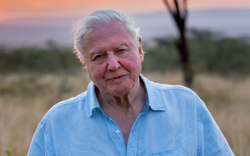 Die Menschen für die Schutzbedürftigkeit unseres Planeten zu sensibilisieren, das sieht David Attenbborough als eine einer Missionen an.
