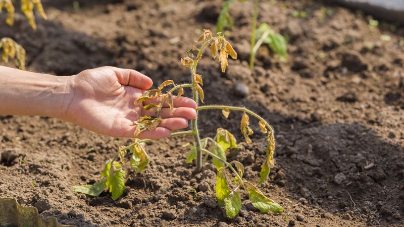 Freude an der Arbeit