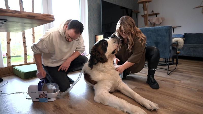 Ruffys Menschen Philipp und Mary-Joe testen gern Hunde-Accesoires für ihr "Riesenbaby".