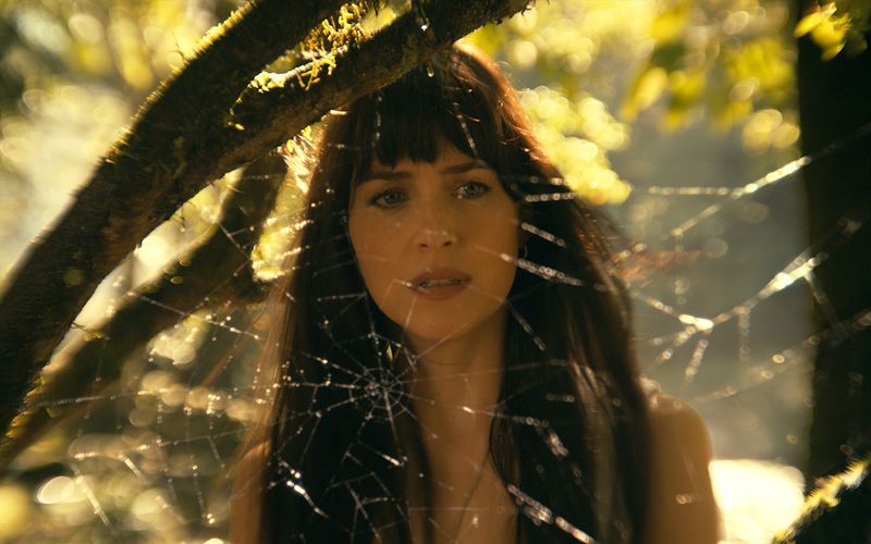 Und das ist das Machwerk, das seiner Hauptdarstellerin manches Kopfzerbrechen bereitet hat: Die Comicfilmung "Madame Web" (2024) floppte an den Kinokassen weltweit floppte wurde auch von den Kritikern verrissen. Dakota Johnson spielt eine Rettungssanitäterin, die nach einem Nahtoderlebnis hellseherische Fähigkeiten entwickelt. 
