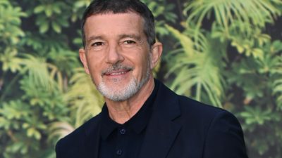 Bild zu Artikel Antonio Banderas