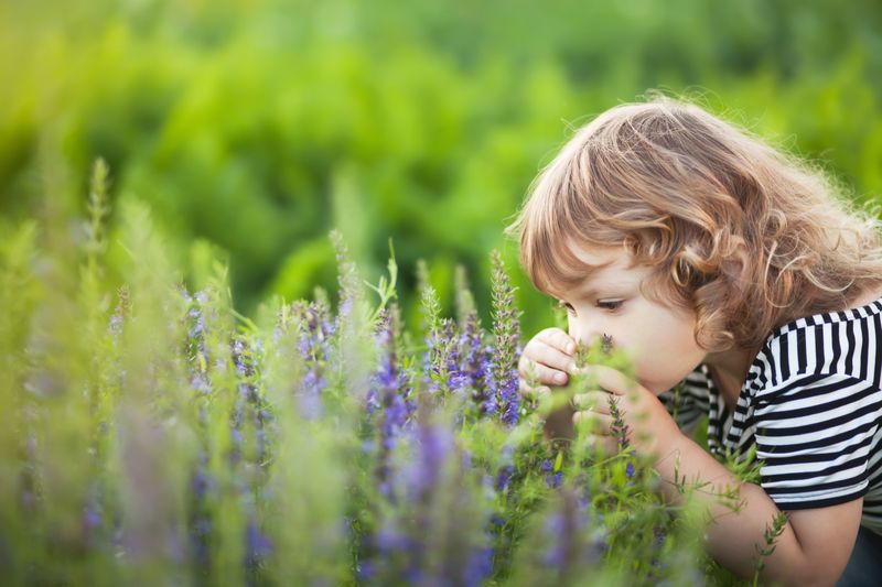 Giftige Pflanzen wachsen nicht nur in tropischen Regionen, sondern auch bei uns in Deutschland. Womöglich sogar in Ihrem Garten. Besonders für Kinder, die unbedarft an Pflanzen riechen oder gar Pflanzenteile in den Mund nehmen, stellen Sie eine Gefahr dar. Eltern sollten ihren Kindern so früh wie möglich beibringen, keine Pflanzenteile in den Mund zu stecken, um so Vergiftungen vorzubeugen. 