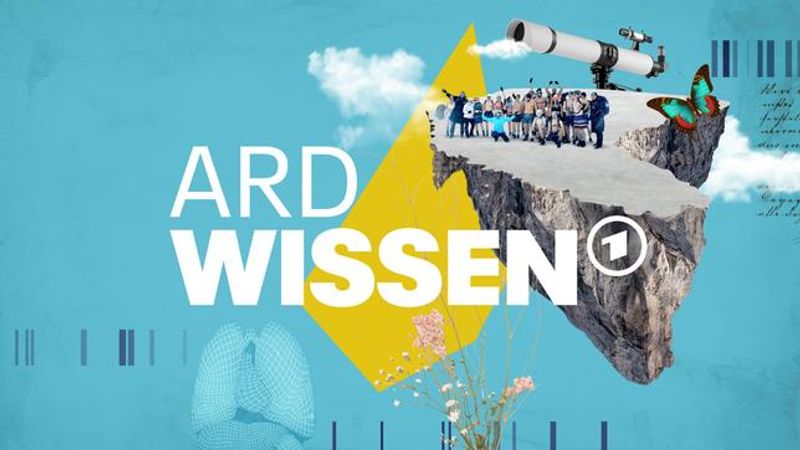 Diesmal erforscht die "ARD Wissen"-Dokumentation Mechanismen im menschlichen Körper, die schon Steinzeit-Bewohnern das Überleben sicherte. 