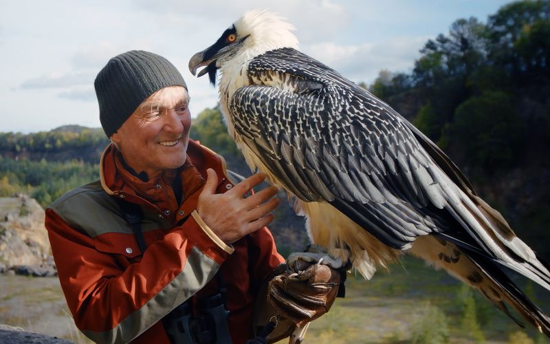 Neben tragischen Geschichten erzählt Andreas Kieling in den neuen Folgen von "Kielings wilde Welt" auch von Erfolgen: Der Bartgeier etwa erlebt durch ein europäisches Schutzprogramm in den Alpen eine Renaissance.