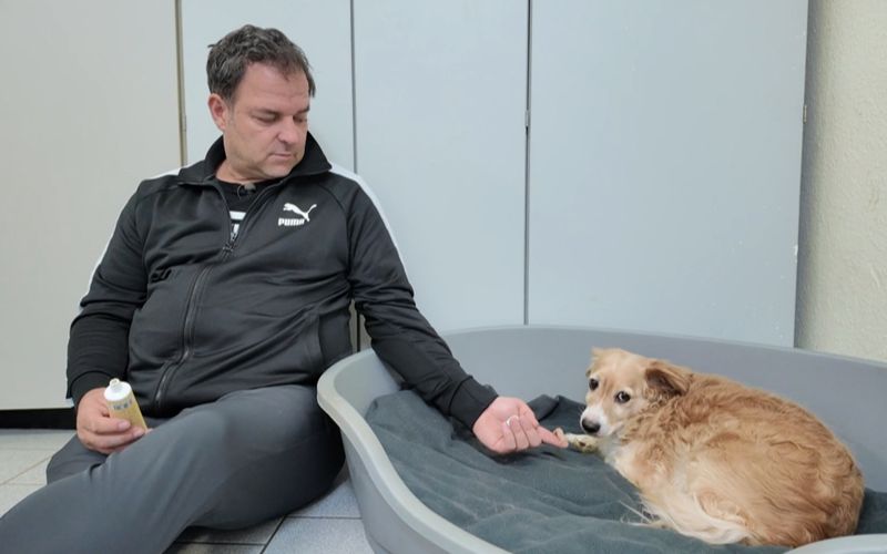 Martin Rütter schaut selbst nach dem siebenjährigen Rüden.