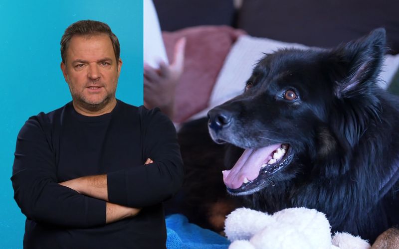 Martin Rütter will die Gründe für Jimmys Beißattacken herausfinden.
