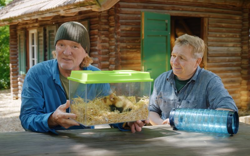 In "Kielings wilde Welt - Säugetierparadiese" besucht Tierfilmer Andreas Kieling (links) unter anderem  Dr. Ulrich Weinhold in der Feldhamster-Aufzuchtstation im Zoo Heidelberg.