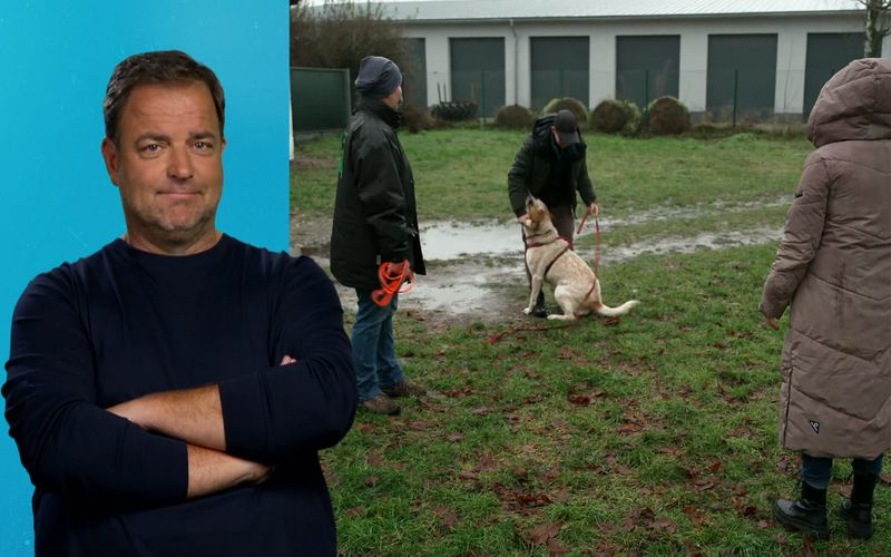 Martin Rütter beobachtet das Kennenlernen von Interessentin Andrea und Fritz skeptisch.