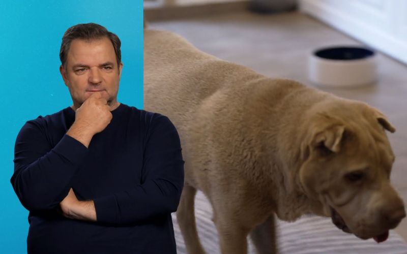 "Hundeprofi" Martin Rütter ist schockiert: Daphnes Halter haben sie allein zurückgelassen.