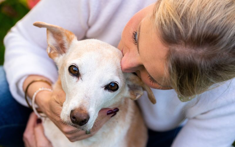 Carmen und Mila verstehen sich blind. Der Gedanke, ohne ihre treue Hündin zu leben, ist für Carmen kaum auszuhalten.