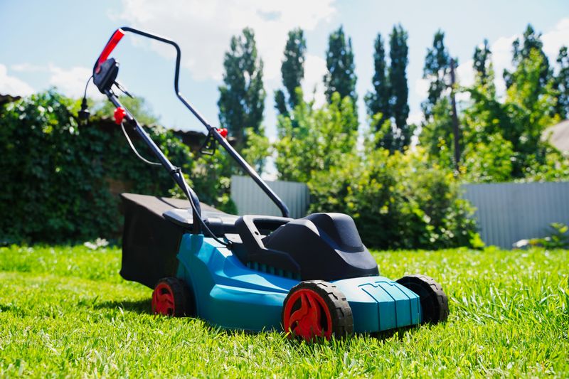 Bleibt der Rasenmäher im Mai stehen, tun Sie ihrem Garten etwas Gutes.