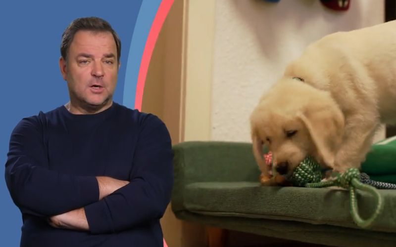 Zum Auftakt der neuen Staffel "Die Welpen kommen - mit Martin Rütter" erneuert der Hundetrainer einen von ihm oft gehörten Aufruf: Man sollte keine Welpen im Internet kaufen.