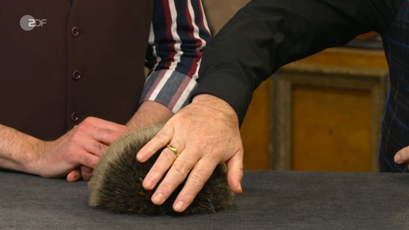 Der Moderator streichelte vorsichtig mit der Hand über die Borsten des halbrunden Gegenstands ...
