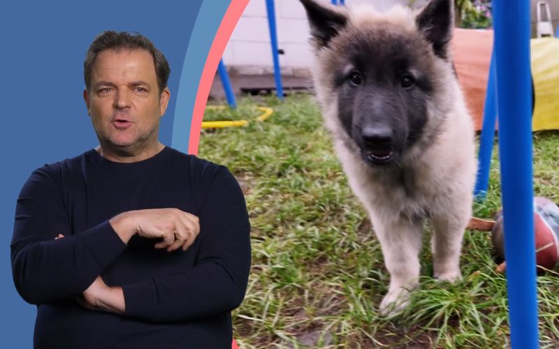 Martin Rütter ist skeptisch: Passt der aktive Hund zu seinem gesundheitlich eingeschränkten Frauchen?