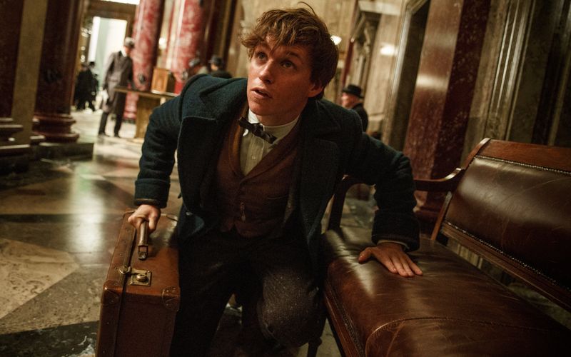 Dieser Herr trat die "Nachfolge" von Harry Potter an: Newt Scamander (Eddie Redmayne) steht in den neuen Filmen im Mittelpunkt. Der Magizoologe, der in der "Potter"-Reihe nur namentlich auf der Literaturliste der Hogwarts-Schüler auftaucht, wagt sich 1926 im Rahmen einer Forschungsreise nach New York. Im Gepäck hat er äußerst seltene Kreaturen, handlich verstaut in seinem magischen Koffer.