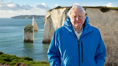 Bild zu Artikel Ozeane mit David Attenborough