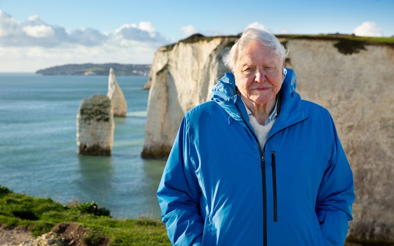 Sir David Attenborough leiht dem Kooperationsprojekt "Ozeane mit David Attenborough" mit National Geographic seine Stimme. Zu Beginn seines Lebens war der Meeresboden weitgehend unerforscht. Der heute 99-Jährige präsentiert nun die atemberaubenden wie schockierenden Ergebnisse eines Jahrhunderts der Entdeckung. 