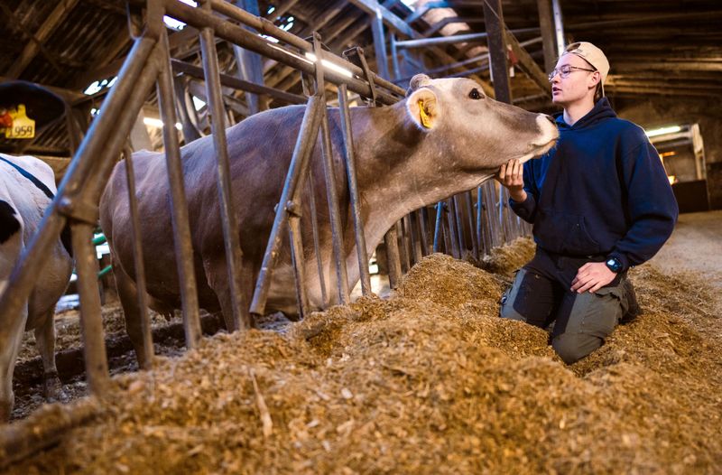 Landwirt-Azubi Jeffrey pflegt ein besonderes Verhältnis zu den Kühen. 