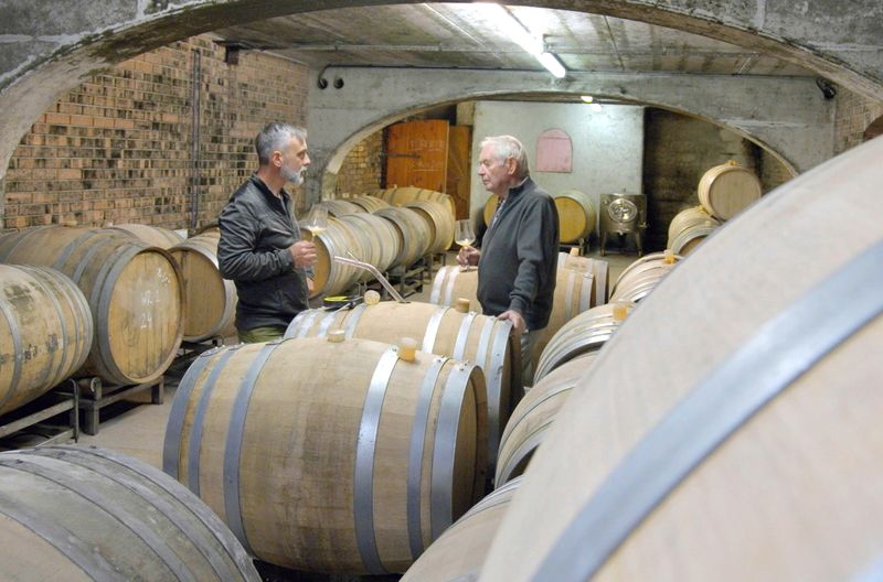 Im Keller des Bioweinbaubetriebs Feiler-Artinger in Rust am Neusiedler See, Österreich: Die Winzer dort wurden 1985 zu Unrecht als Panscher verunglimpft.
