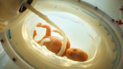 Bild zu Artikel "Sex and the Scientists - Wie wir künftig Kinder bekommen"