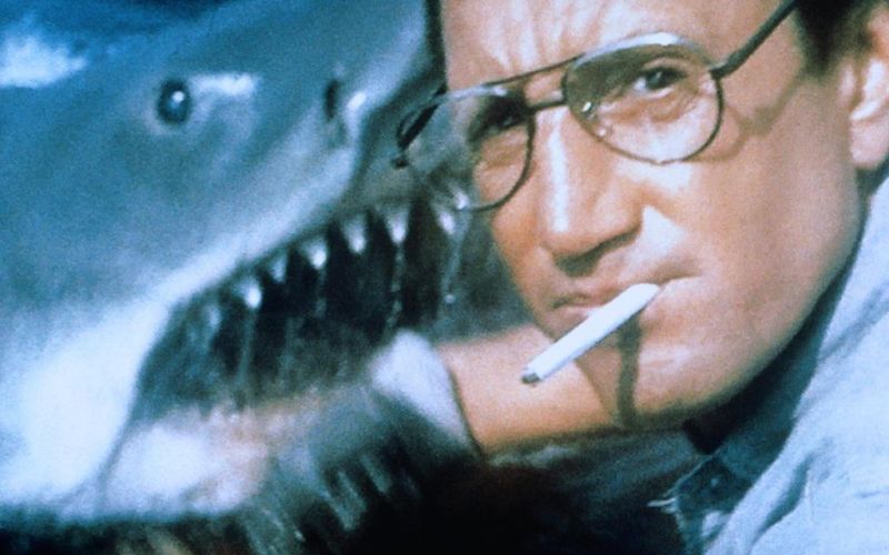 Seit Erscheinens des Films "Der Weiße Hai" vor 50 Jahren werden Hai zu Unrecht verteufelt.