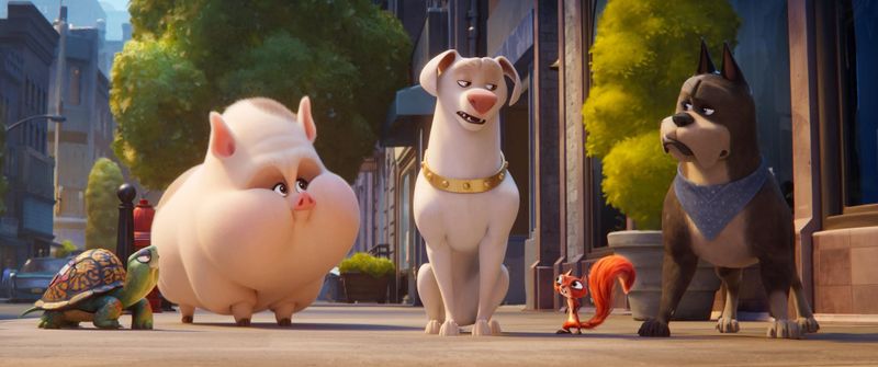 Schildkröten, Schweine, Eichhörnchen und Hunde: In "DC League of Super-Pets" stehen ein paar echt tierische Superhelden im Fokus.