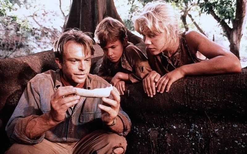 Natürlich sind der wieder zum Leben erweckte T. Rex und seine Artverwandten die Stars des Films. Trotzdem lebte "Jurassic Park" auch von seinen hervorragenden Darstellern. Wir zeigen Ihnen, Sam Neill (links) und Co. heute machen ... 