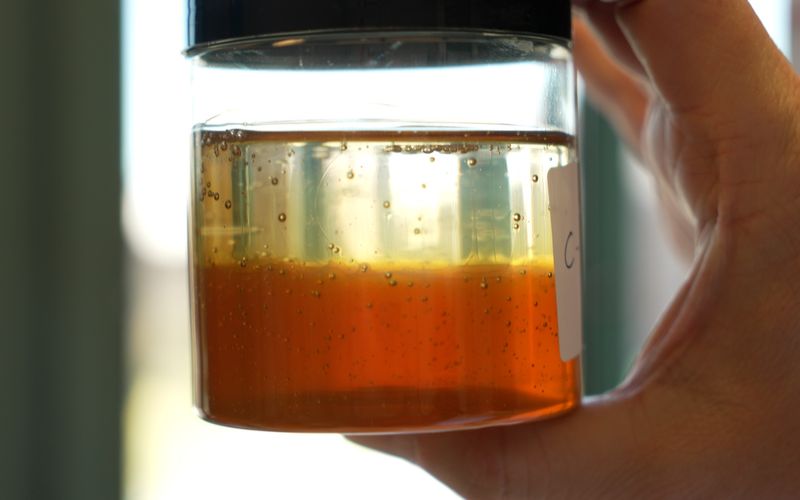 Das Verfälschen von Lebensmitteln, darunter das Strecken von Honig mit Sirup, verstößt in Deutschland gegen das Recht und stellt eine Straftat dar.