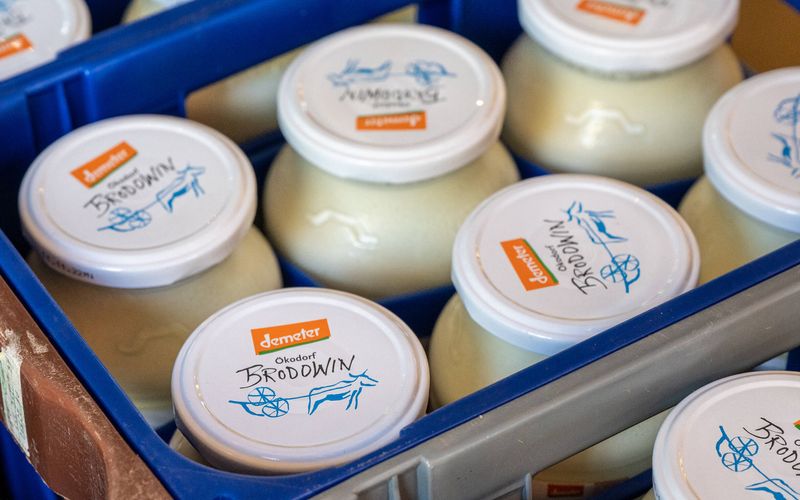 Im Demeter Bio Joghurt Natur 3,7% Fett könnten Glassplitter enthalten sein.
