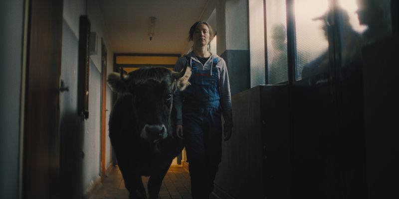 Das romantische Sozialdrama "Alle die du bist" erzählt die Geschichte von Nadine (Aenne Schwarz). Sie nimmt ihren Partner regelmäßig in Form verschiedener Gestalten war, auch als Bulle. 