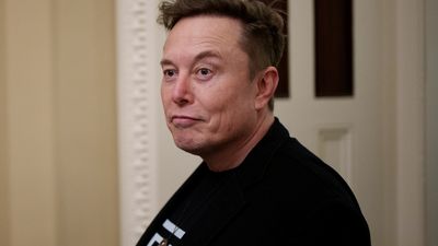 Bild zu Artikel Elon Musk