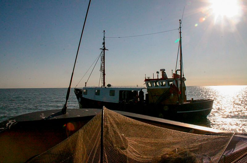 EU-Fangquoten setzen ihnen zu: die letzten Fischer von Volendam - unterwegs auf dem Jisselmeer.