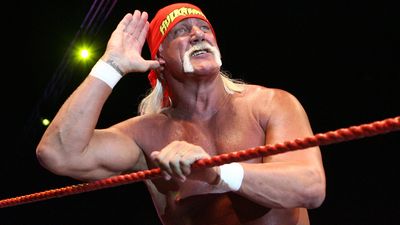 Bild zu Artikel Hulk Hogan
