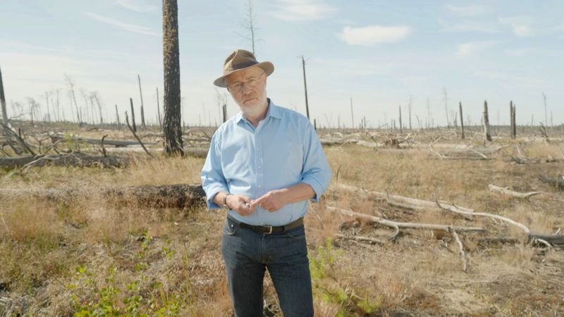 Harald Lesch wird beim Anblick der vertrockneten Wiese im Forst Zinna-Jüterbog-Keilberg ganz anders: "So stellt man sich die Apokalypse vor".