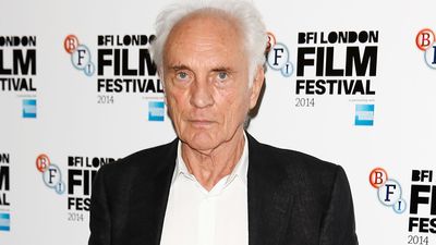 Bild zu Artikel Terence Stamp