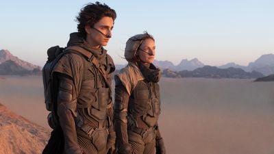 Bild zu Artikel "Dune"