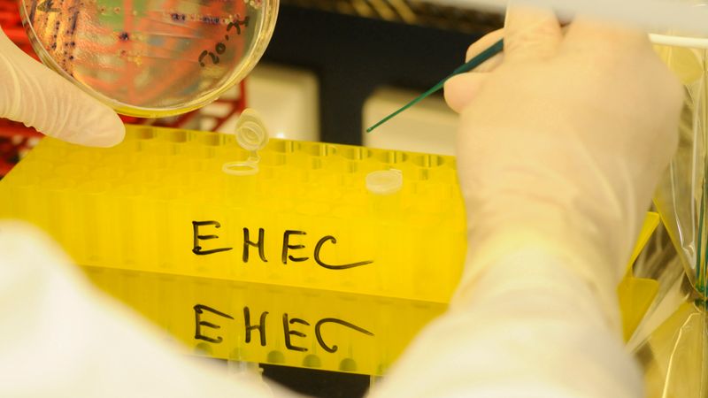 Zahl der Ehec-Infektionen steigt weiter