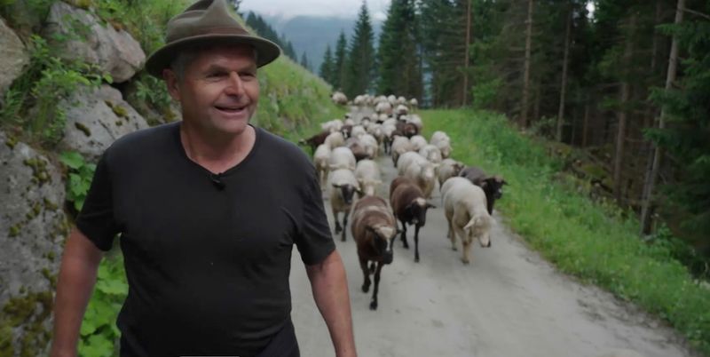500 Schafe treibt der Landwirt Marcus Berther in einer fünfstündigen Aktion auf die Alp.