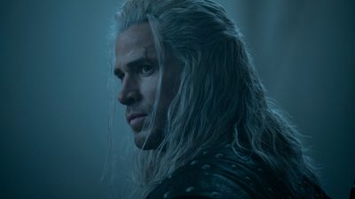Bild zu Artikel The Witcher