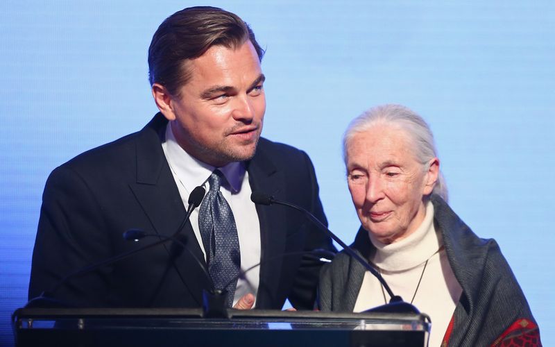 Zahlreiche Hollywood-Stars, darunter Leonardo DiCaprio, würdigten das Schaffen von Affenforscherin Jane Goodall.
