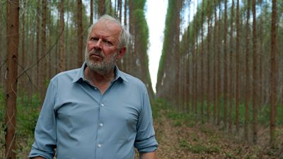 Bild zu Artikel Verschollen