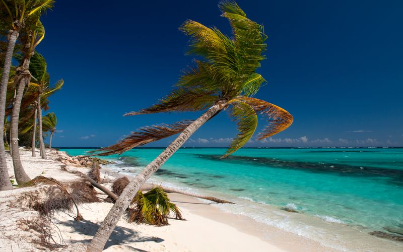 Den einen macht Künstliche Intelligenz Angst, andere profitieren von der Technologie. So wie der karibische Inselstaat Anguilla.