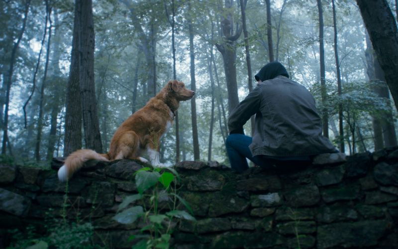 Ein Tier beziehungsweise ein Hund ist in Ben Leonbergs Regiedebüt "Good Boy - Trust His Instincts" (ab sofort im Kino) nicht, wie sonst üblich, das Monster, das Böses tut, sondern die Identitätsfigur, die das Böse erkennt und dagegen vorgeht. Der Horror-Thriller ragt aus dem Gros der Genre-Vertreter somit mit seiner ungewöhnlichen Erzählperspektive heraus.