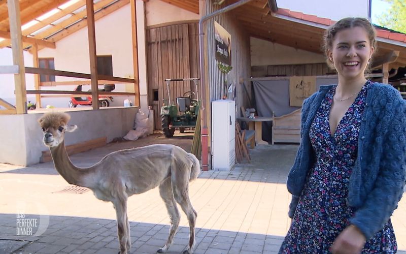 Willkommen am Chiemsee mit Gastgeberin Pia (19) und Alpaka "Marcello".